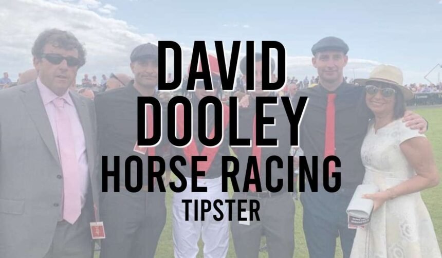 why is david dooley the best horse racing tipster in 2024