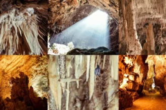 salta la coda biglietto d'ingresso oscuro alla grotte de baume