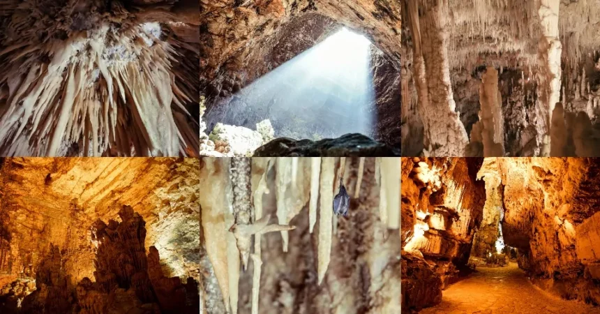 salta la coda biglietto d'ingresso oscuro alla grotte de baume