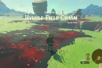 hyrule forest park chasm